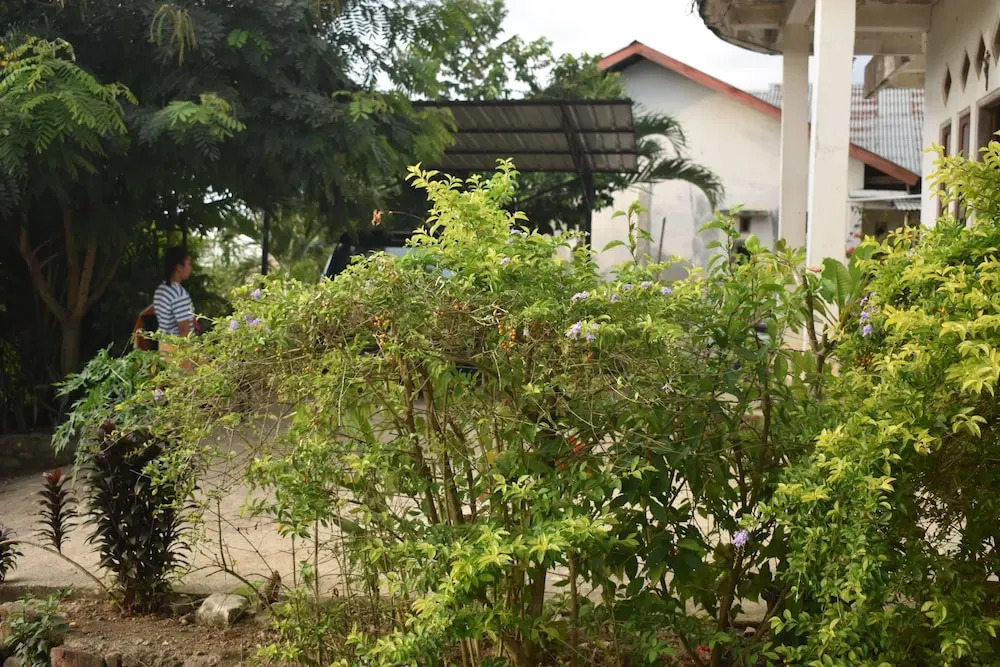 FOUR-G Home Stay & Komodo Tour