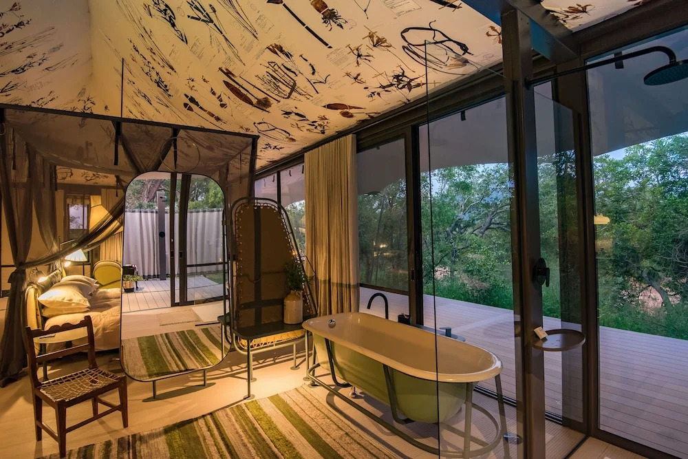 Thornybush Saseka Tented Camp