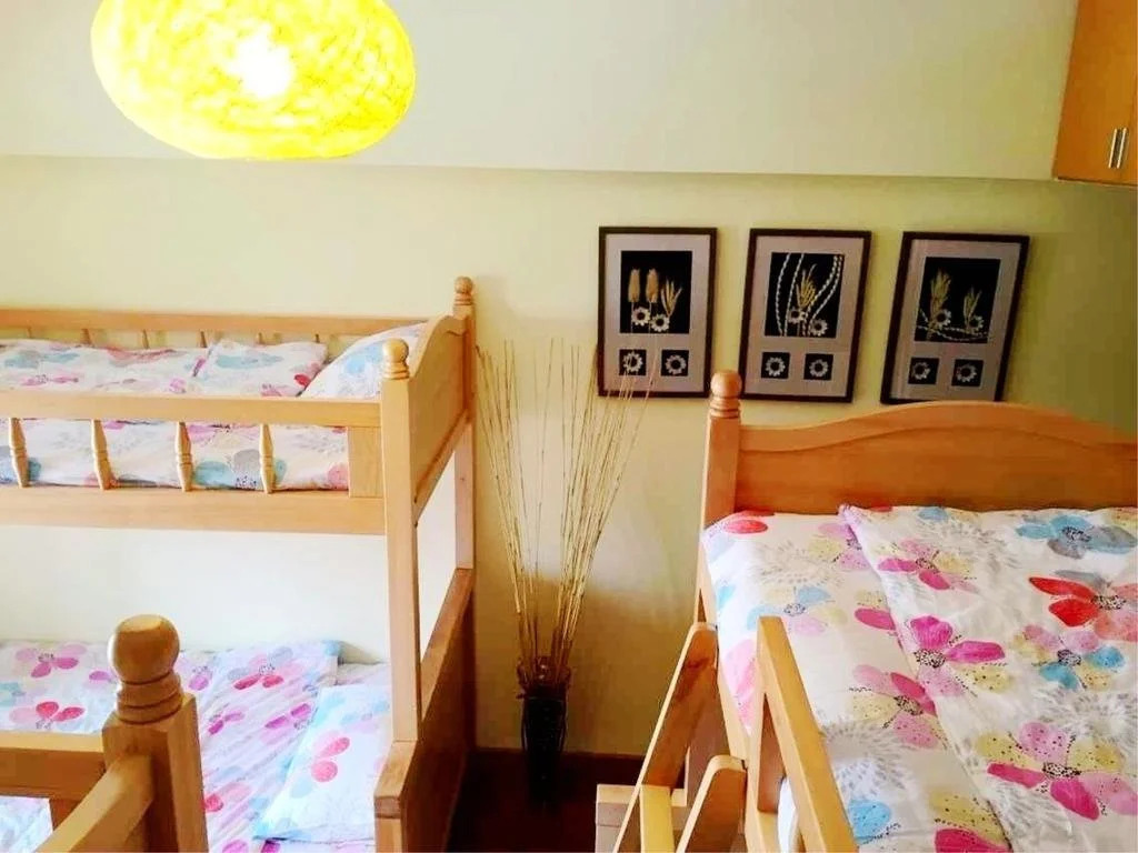 Kunming Cat Nest Female Youth Hostel