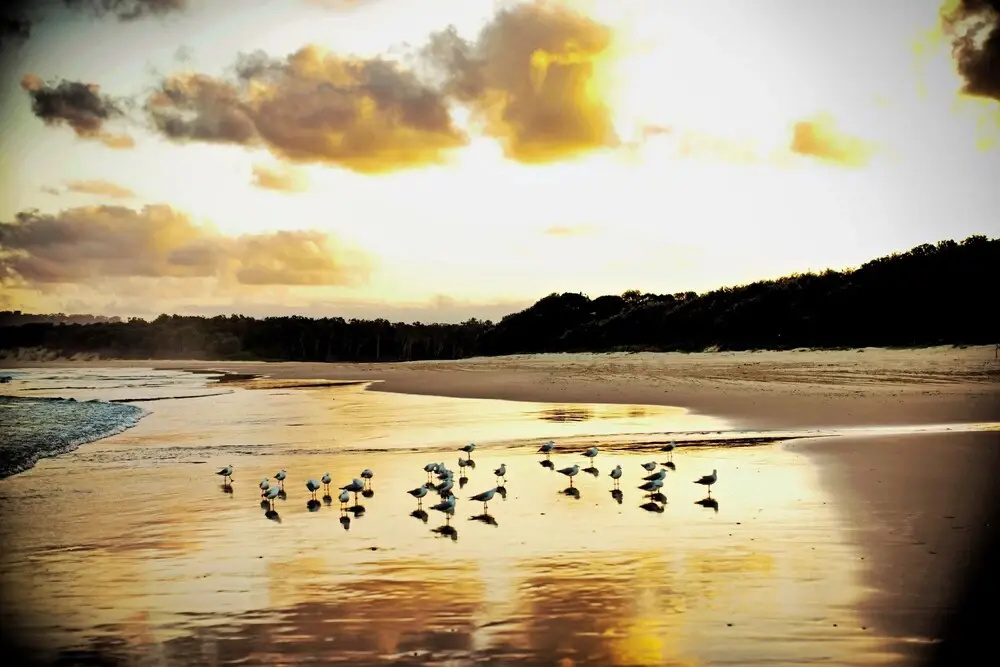 Tranquilo Beach House