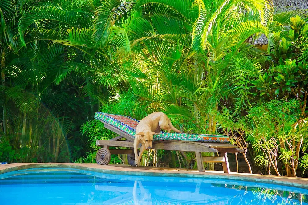 Villakwetu Cottages Diani Beach