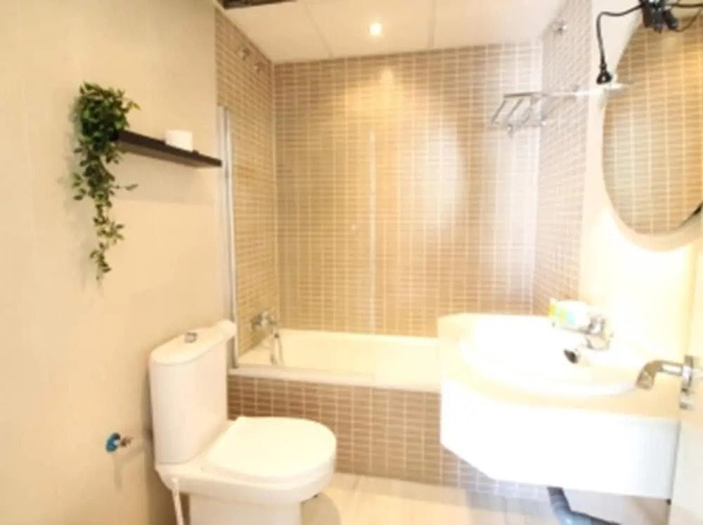 Del Parque Flats Estudio Solarium Molinillo