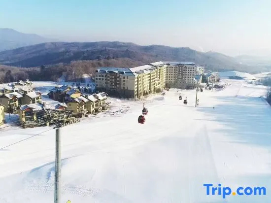 Yabuli Lucheng Snow View Apartment