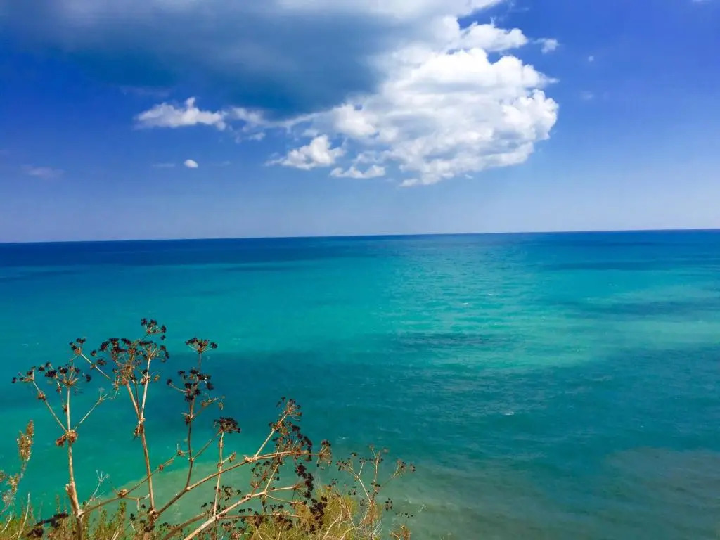 Il gabbiano, attico con terrazzo vista mare