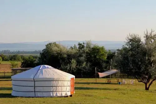 Dharma Horse Shelter Bungalows & Farmping