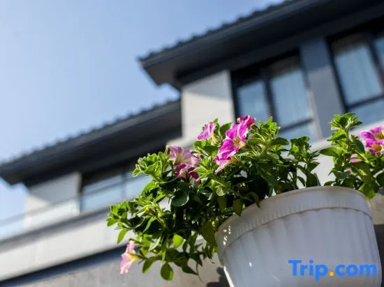Zhujiajian Tongyutang·Slow Life Seaview Homestay (Dongsha Xiaowu Shitang Branch)