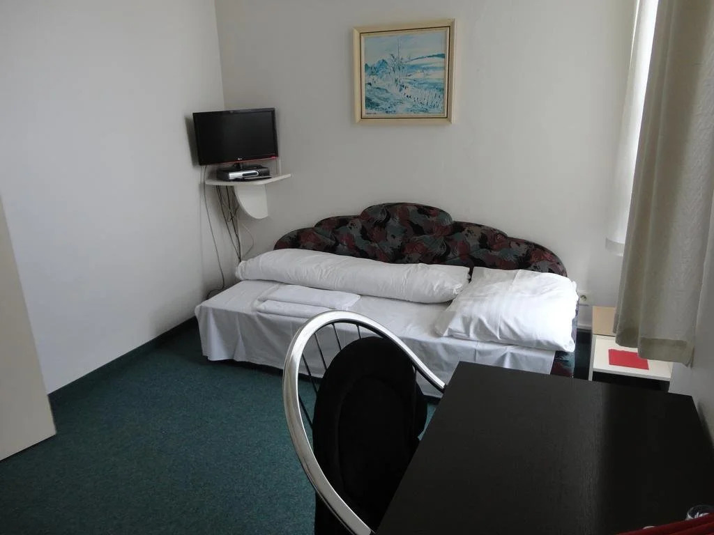 Hotel U Hroznu
