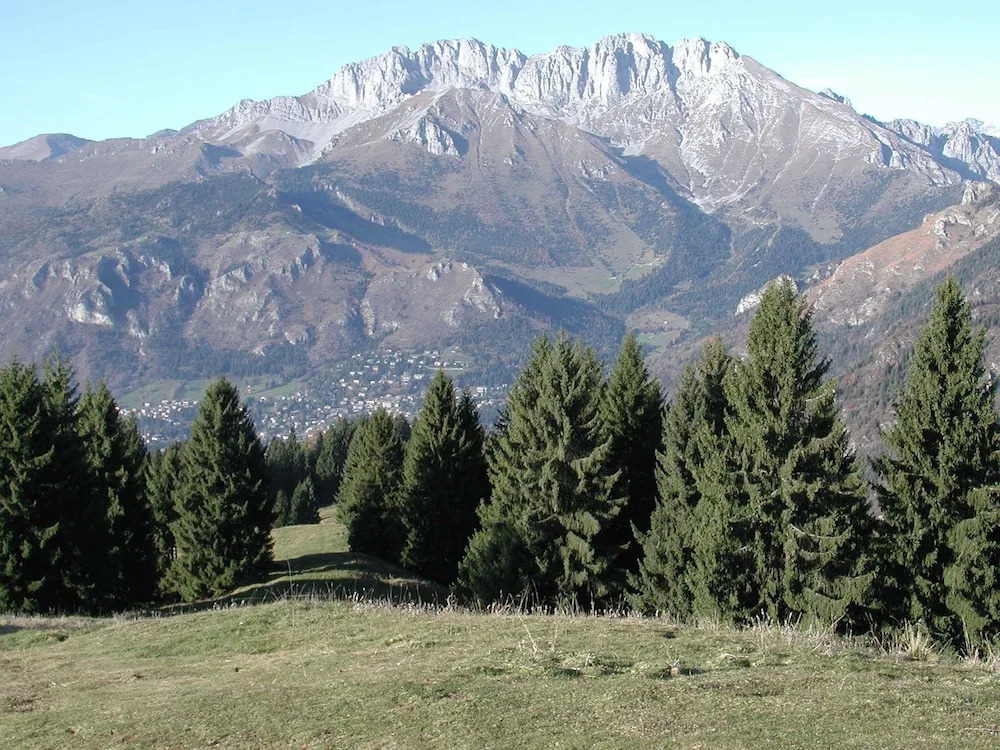 Hotel Prealpi