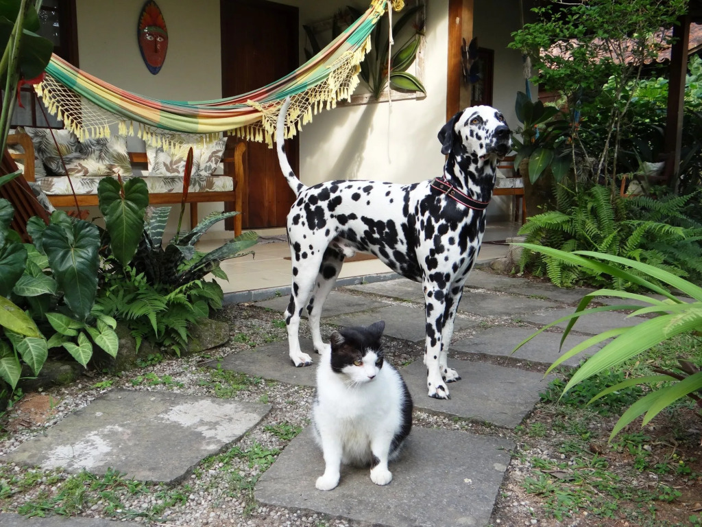 Eliconial Paraty Pousada