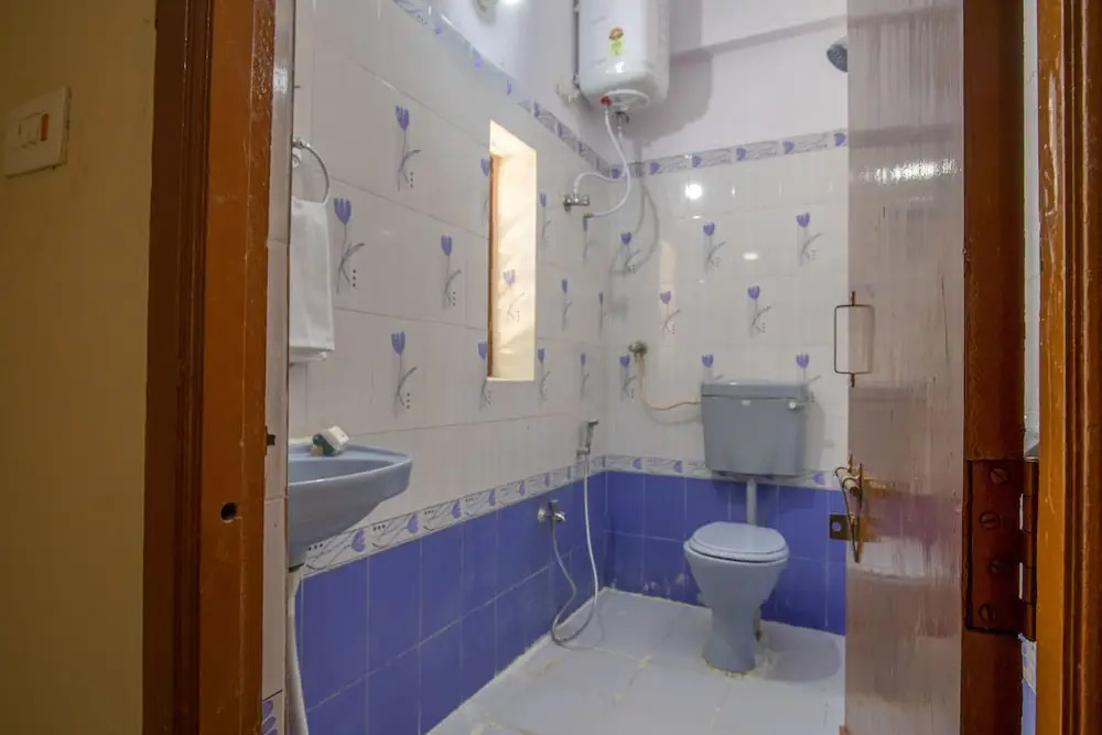 OYO 13550 Hotel Pushpa Grand
