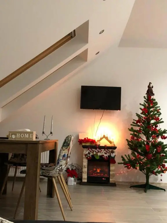 Apartament Andy Busteni 30 m de partie