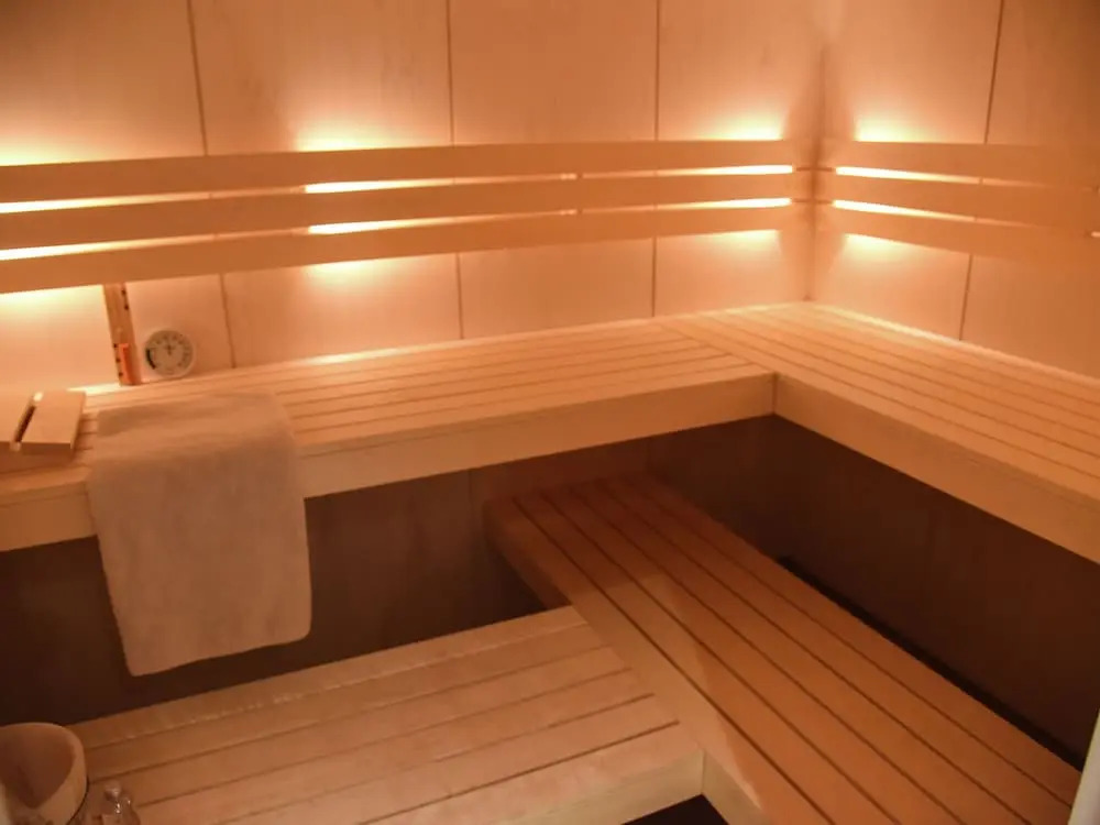 Luxury Thatched Wellness Villa near Sea on Texel