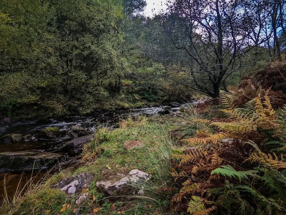 Mill Lodge-Brecon Beacons