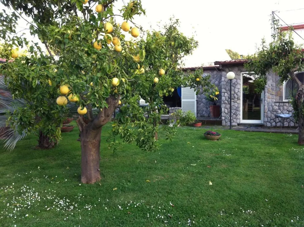 Chalet Claudia