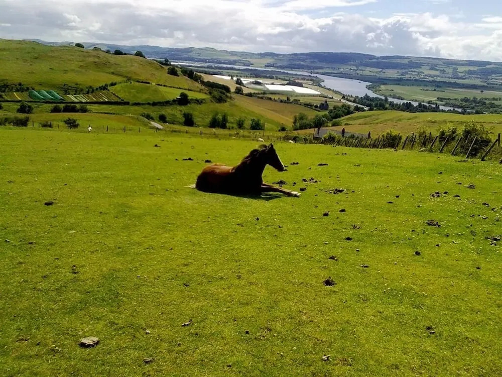 Northlees Farm
