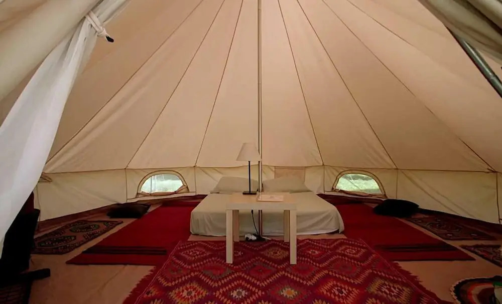 Cocoon Tent in an Olive Grove