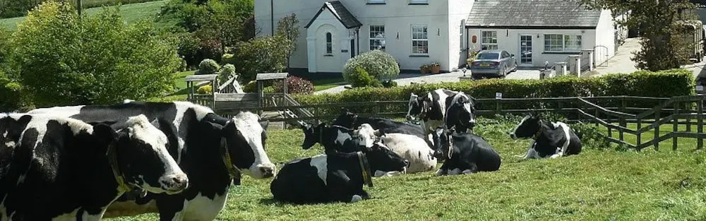 Wheatley Farm