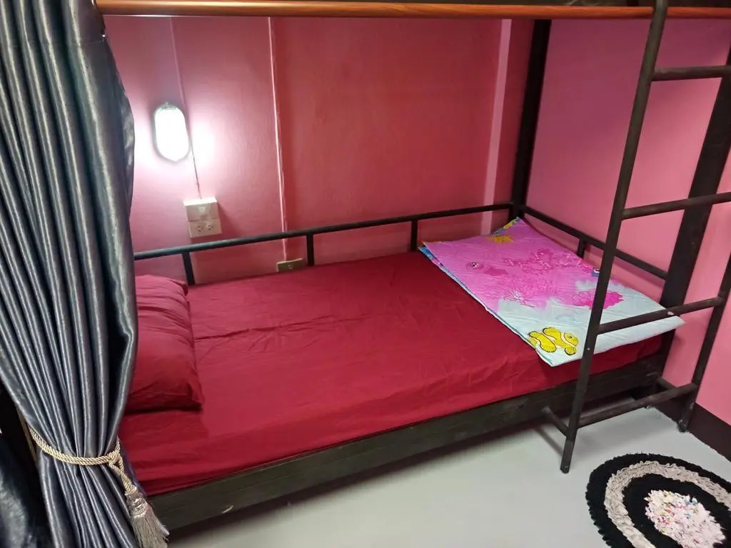 Chiangmai Panda Hostel 2