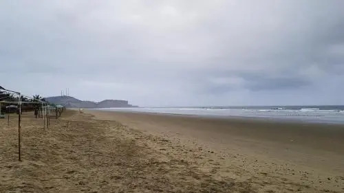 La Jungla