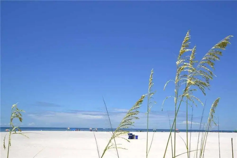 Waves-16 - Waves 16 1 Bdrm Beautiful Cond One-bedroom Apartment