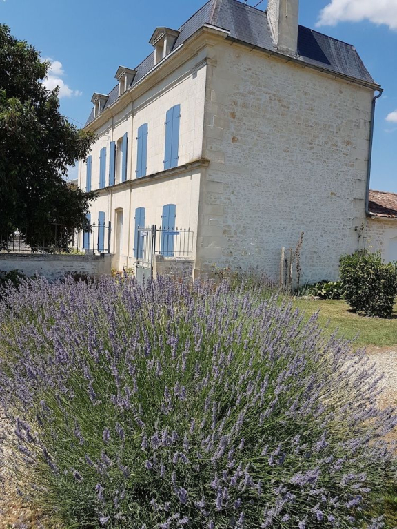 le domaine de bellevue