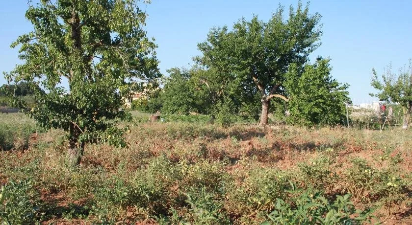 Kalinifta - Io parto Io arrivo