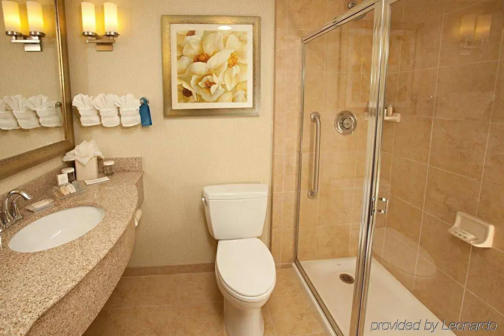 Hilton Garden Inn Orlando Lake Buena Vista