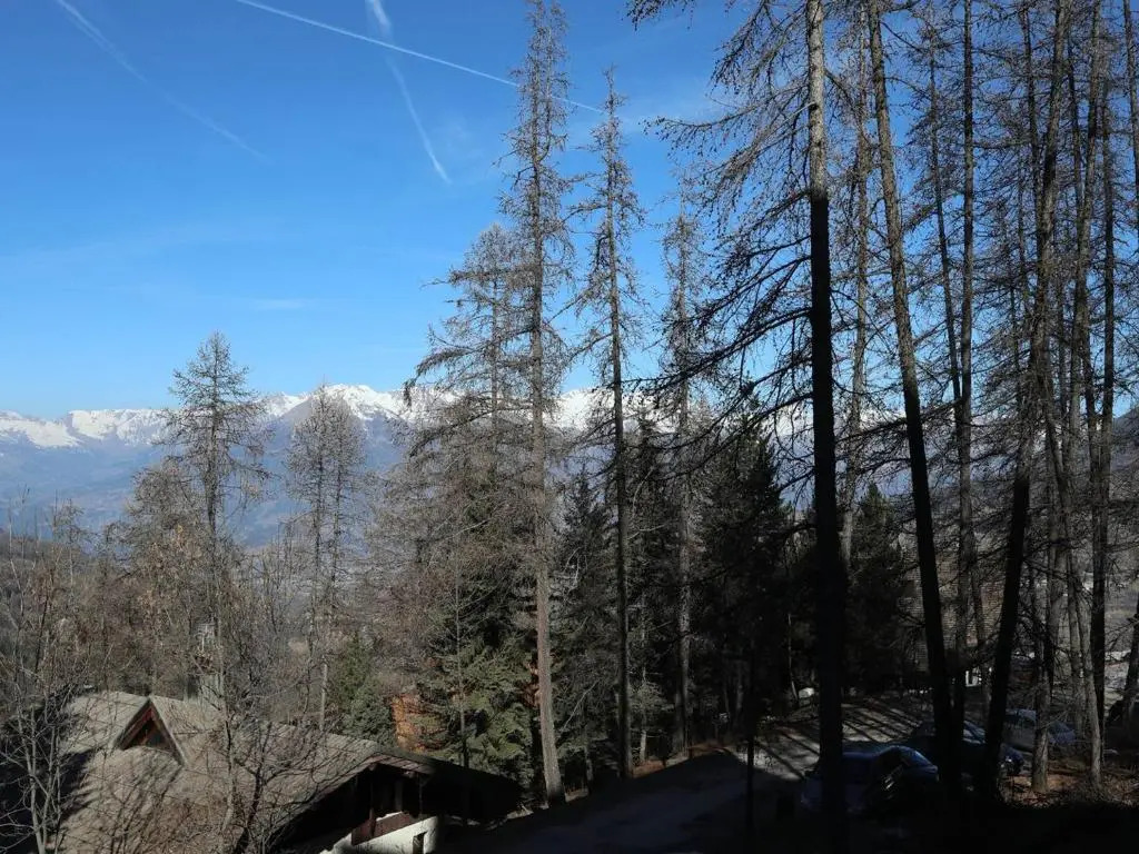Appartement Les Orres, 1 pièce, 6 personnes - FR-1-322-437
