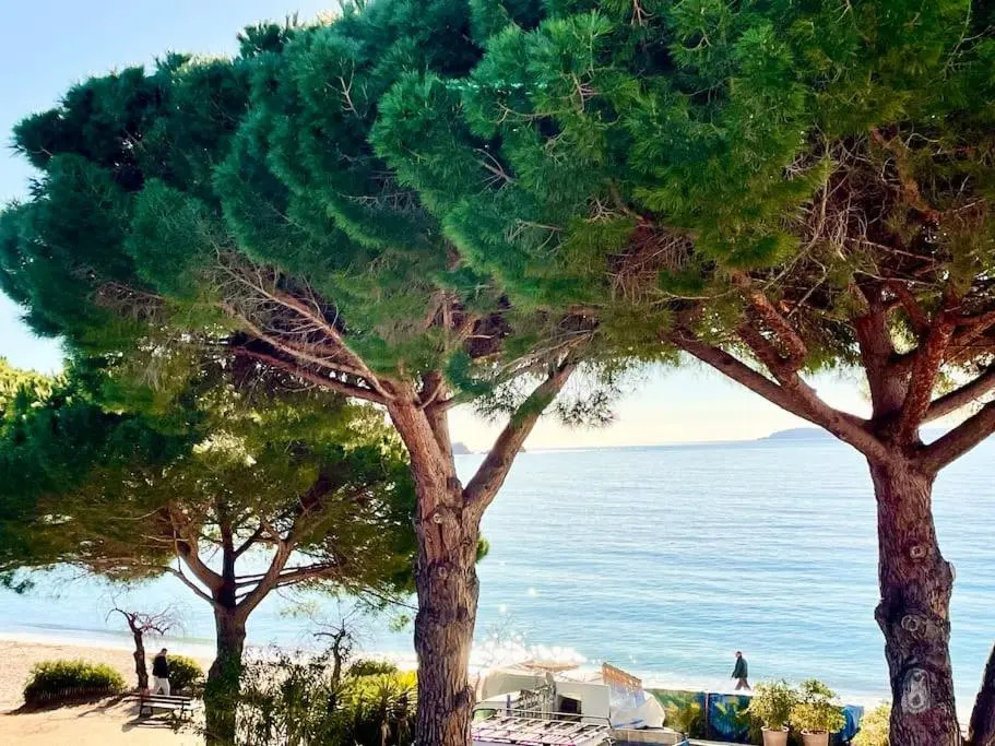 Appartement les pieds dans l'eau à Cavalière (Lavandou 83)