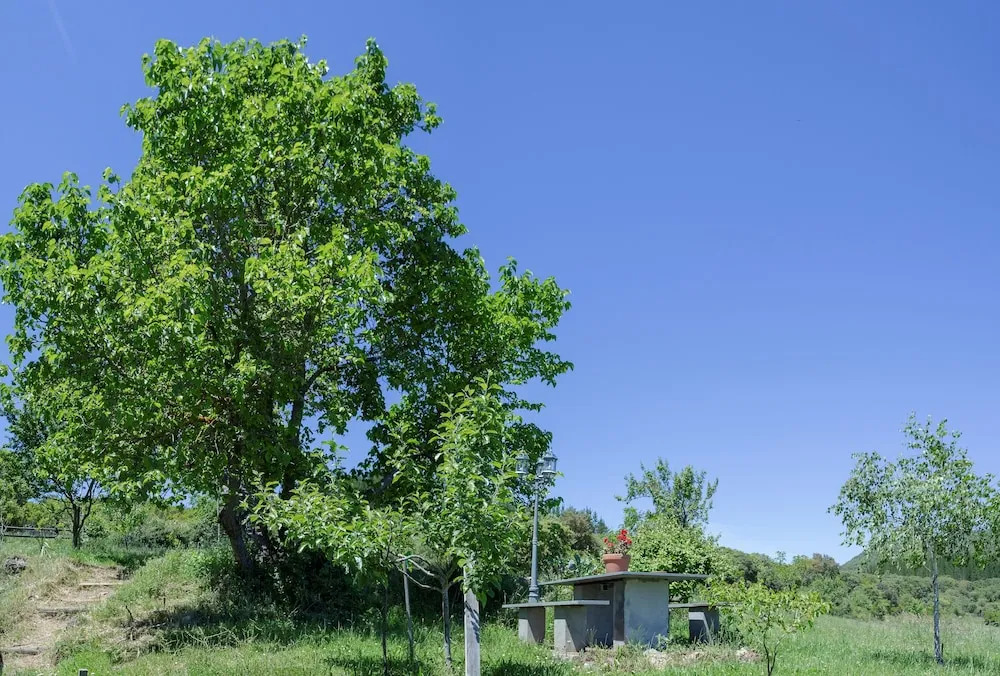 Rural Médulas Viviendas de uso turistico 2 y Casas rurales 2