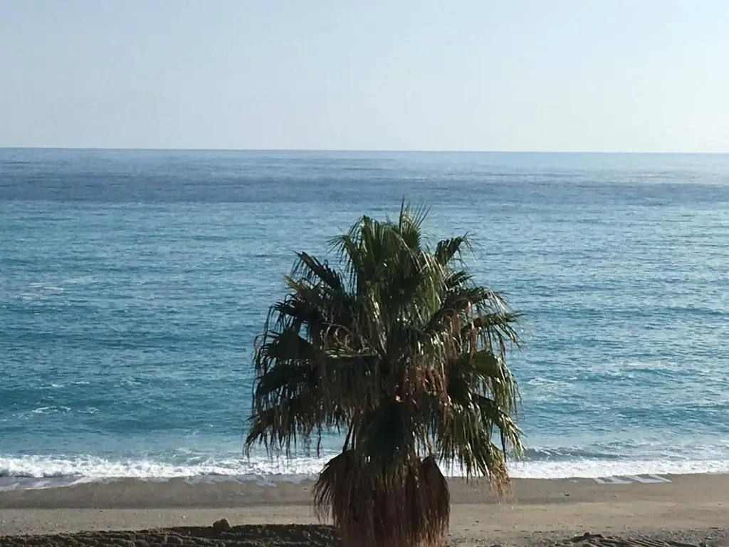 Sharm 2
