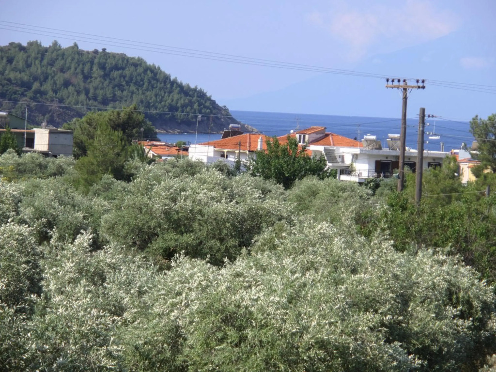 Armonia Apartment
