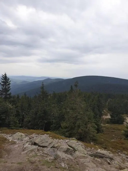 Chata Rafusa pod Śnieżnikiem
