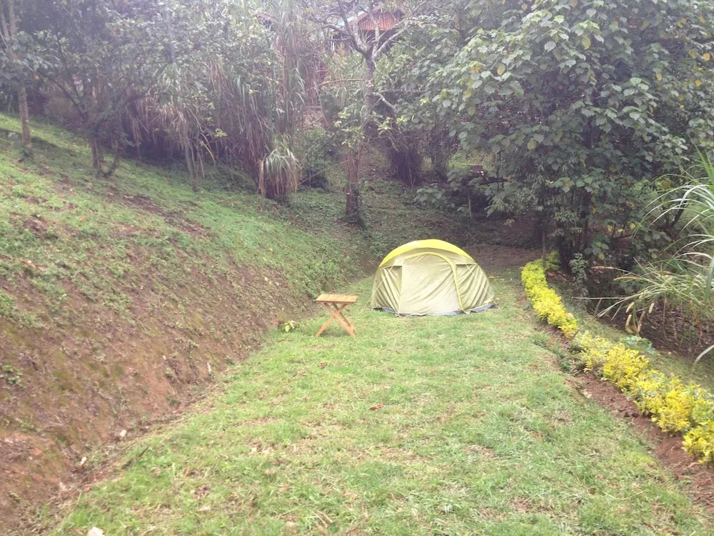 Rushaga Gorilla Lodge