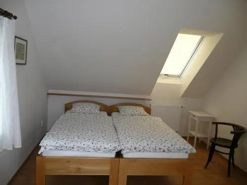 Hotel Vír