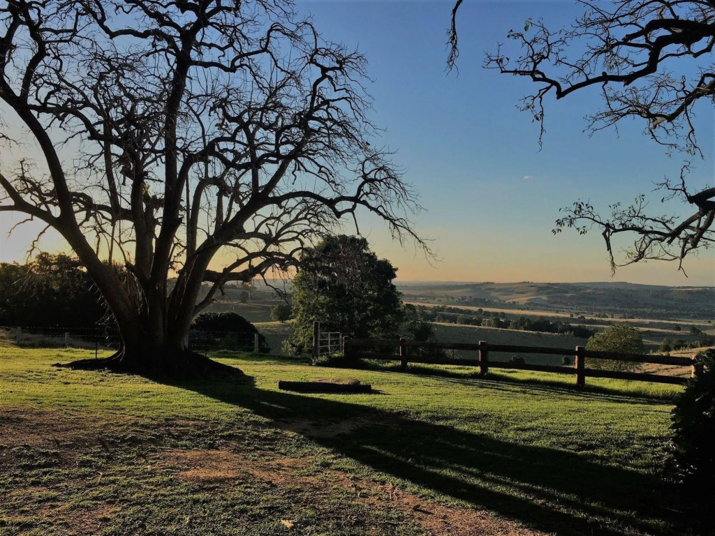 Hillview Cottages