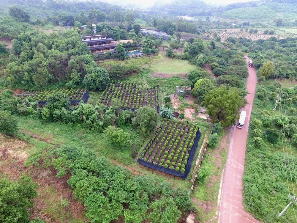 Myhouse Resort