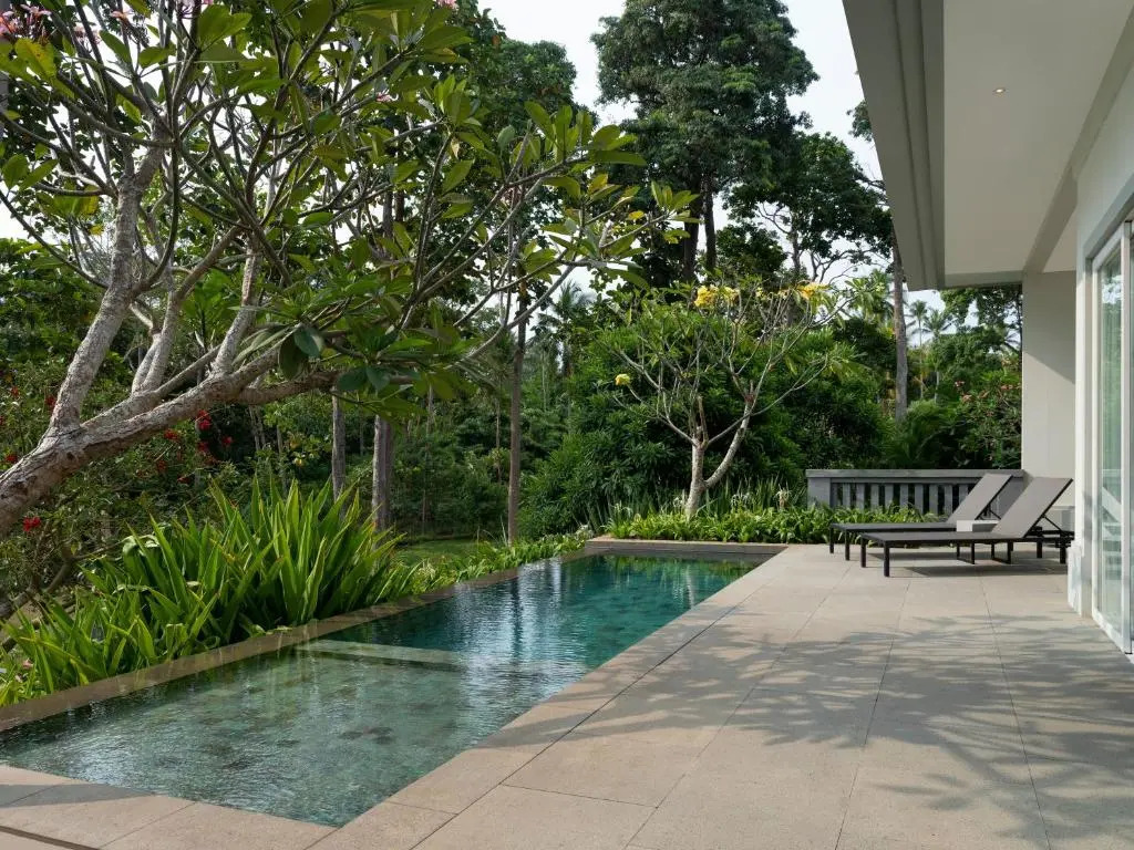 Novus Jiva Anyer