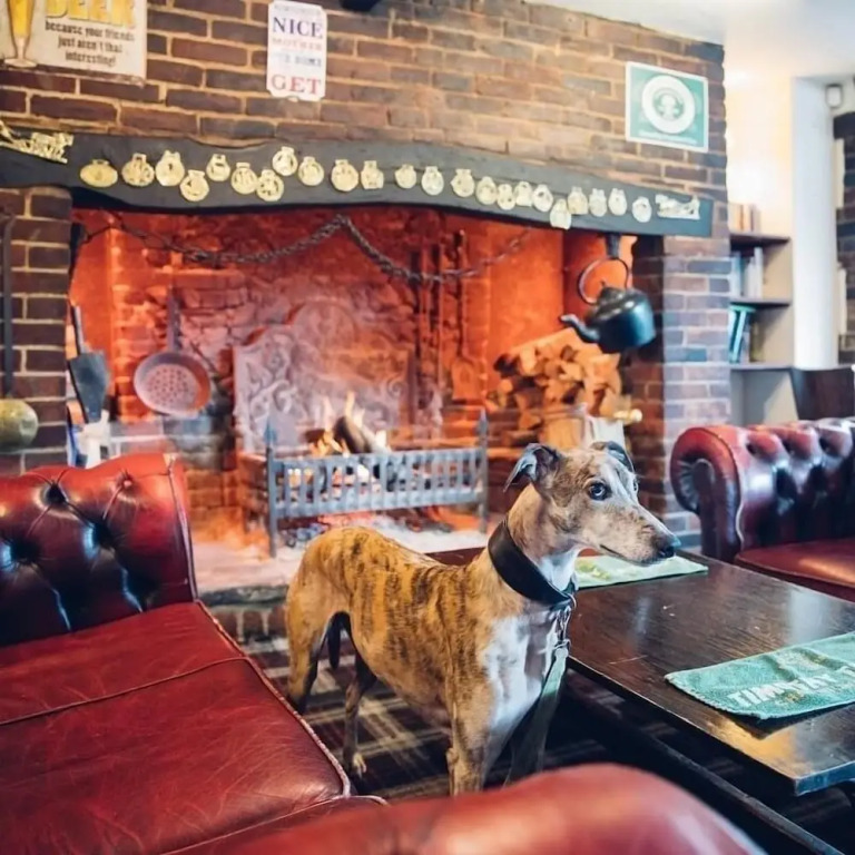 The Jolly Drover