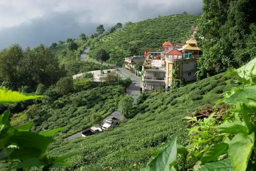 Traditional Hotel And Restaurant