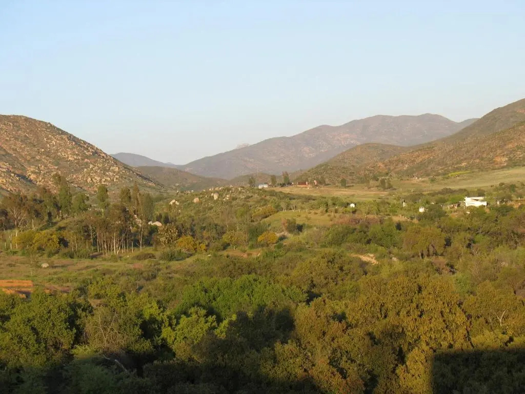 Quinta Maria en la Ruta del Vino