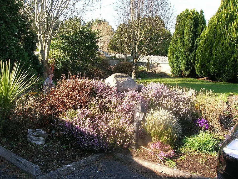 Meadowfield Bed And Breakfast