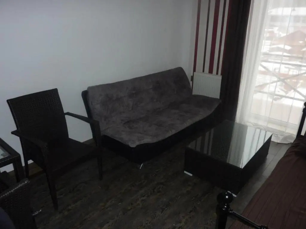 Mgzavrebi Bakuriani. Apartment #202