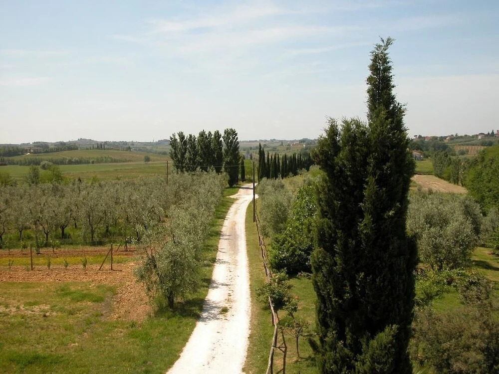 Palma's Country B&B