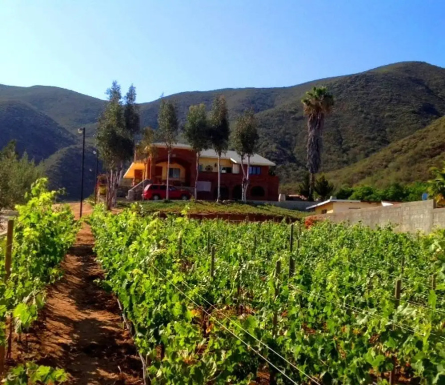 Villa Verano En El Corazon De La Ruta Del Vino