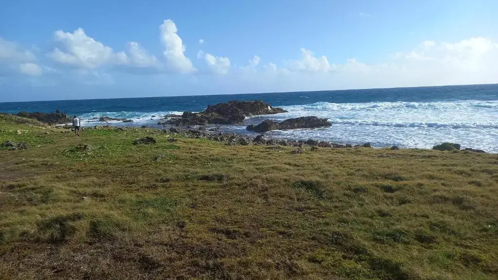 Le Moule Location saisonnière Bel appartement