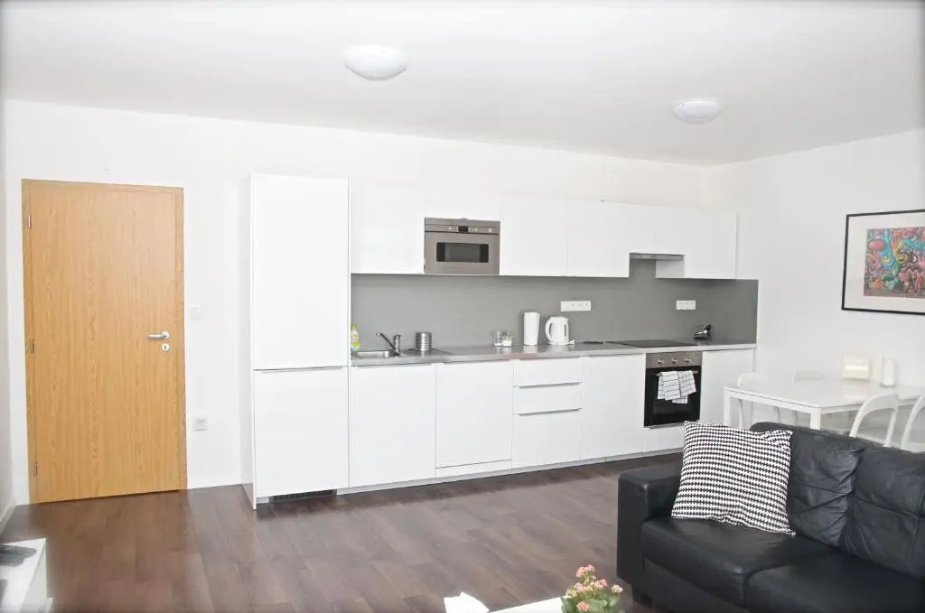 Apartment Husova