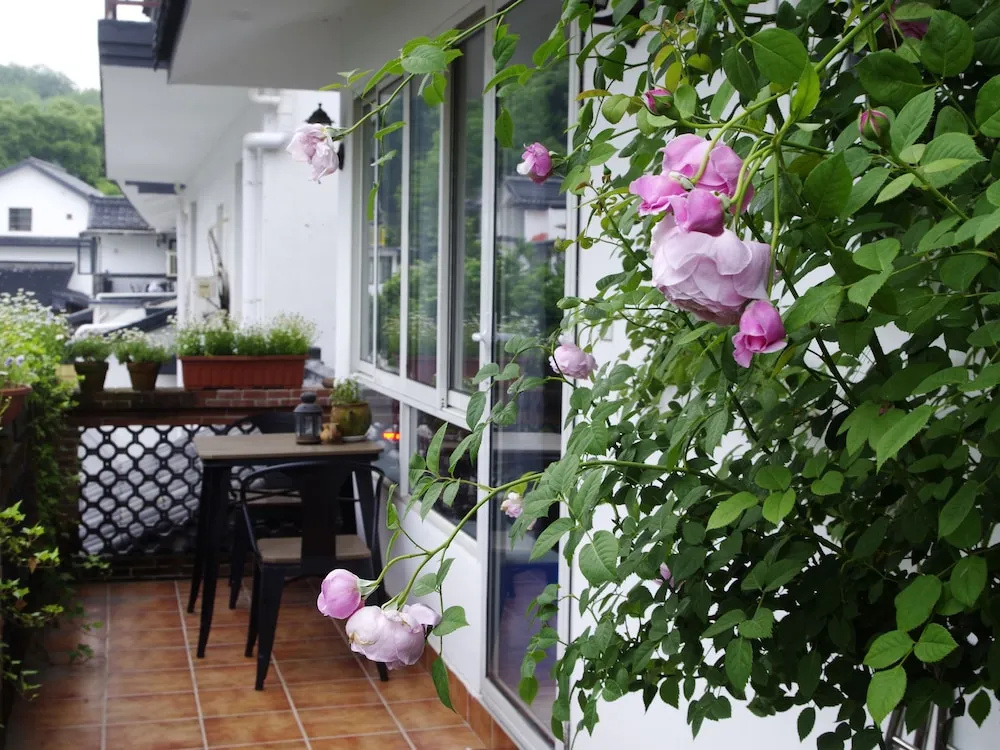 Hangzhou JiuYueJi Bed&Breakfast