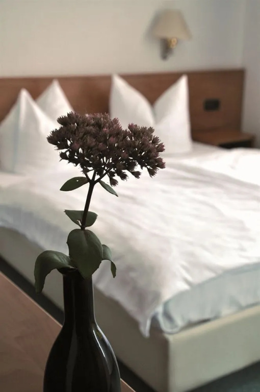 Hotel Rosenhof
