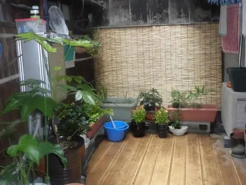 Share House Amigos